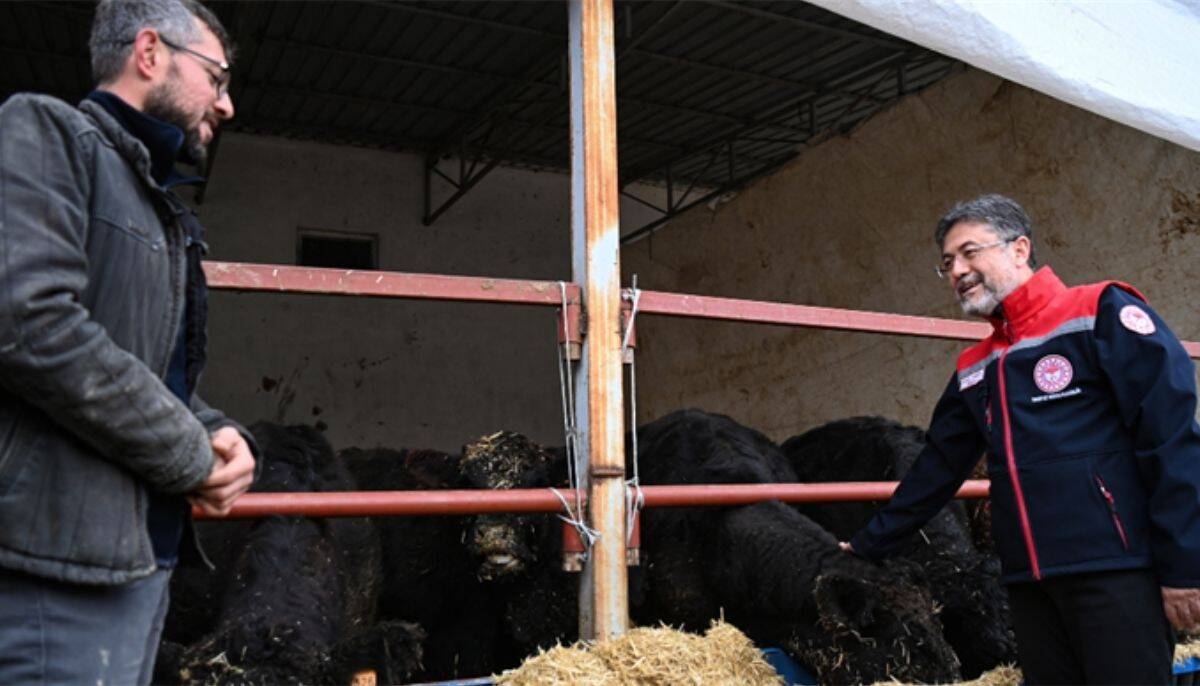 Hayvancılıkla ilgilenen çiftçilere 2 yıl ödemesiz, sübvansiyonlu kredi imkanı başladı