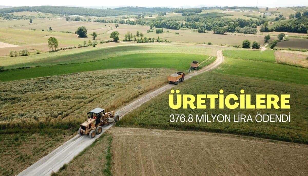 Kasımda çiftçilere 376,8 milyon lira destek