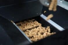 Eskişehir'de Atık Gıdalarla Sokak Hayvanları İçin Ekolojik Mama Üretimi Başladı