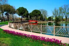 Sakarya’da 200 Bin Çiçekle Yeşil Alanlar Baharın Renkleriyle Güzelleşti